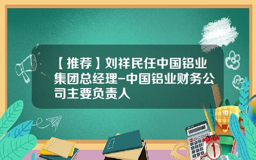 【推荐】刘祥民任中国铝业集团总经理-中国铝业财务公司主要负责人