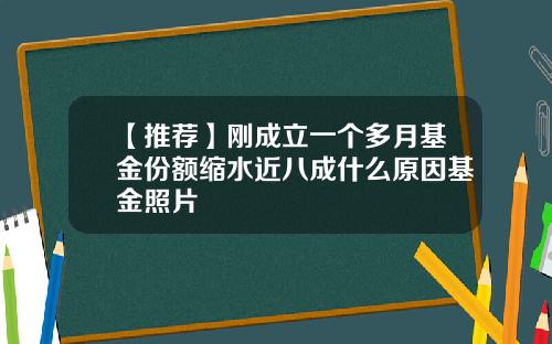 【推荐】刚成立一个多月基金份额缩水近八成什么原因基金照片