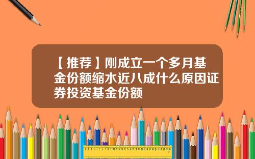 【推荐】刚成立一个多月基金份额缩水近八成什么原因证券投资基金份额