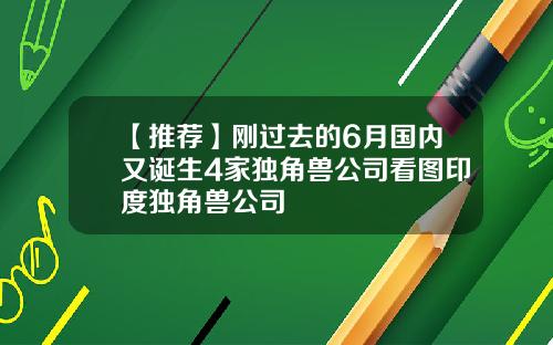 【推荐】刚过去的6月国内又诞生4家独角兽公司看图印度独角兽公司