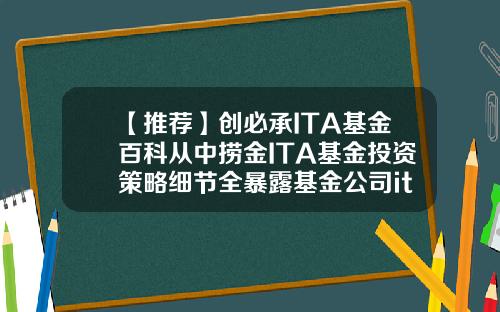 【推荐】创必承ITA基金百科从中捞金ITA基金投资策略细节全暴露基金公司it