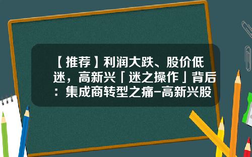 【推荐】利润大跌、股价低迷，高新兴「迷之操作」背后：集成商转型之痛-高新兴股票资讯