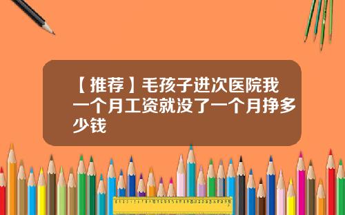 【推荐】毛孩子进次医院我一个月工资就没了一个月挣多少钱