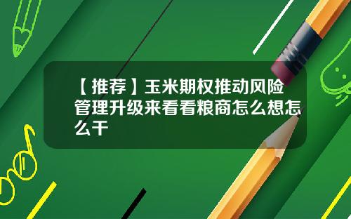 【推荐】玉米期权推动风险管理升级来看看粮商怎么想怎么干
