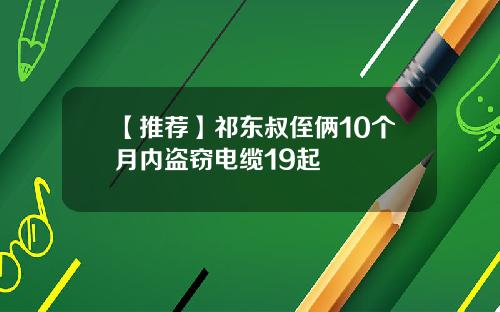 【推荐】祁东叔侄俩10个月内盗窃电缆19起
