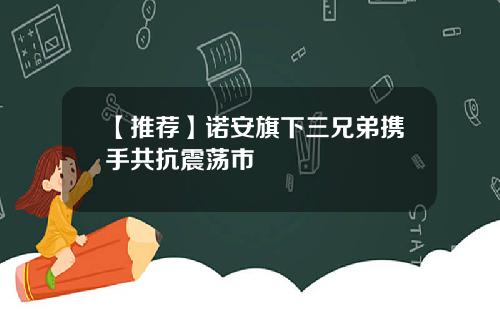 【推荐】诺安旗下三兄弟携手共抗震荡市