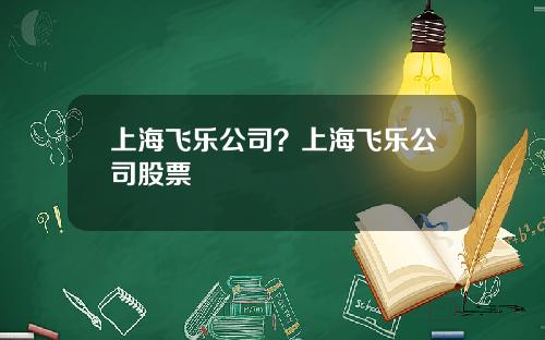 上海飞乐公司？上海飞乐公司股票