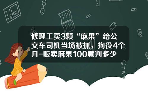 修理工卖3颗“麻果”给公交车司机当场被抓，拘役4个月-贩卖麻果100颗判多少年【新闻】.