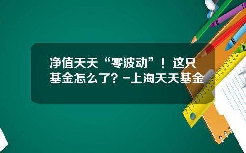 净值天天“零波动”！这只基金怎么了？-上海天天基金