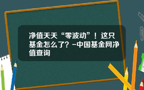 净值天天“零波动”！这只基金怎么了？-中国基金网净值查询