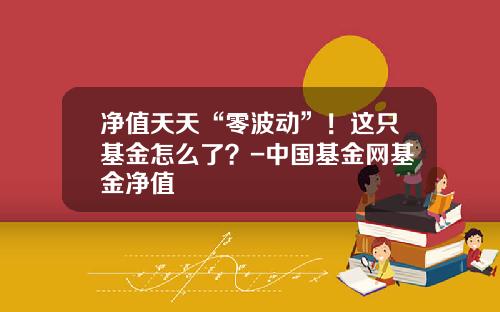 净值天天“零波动”！这只基金怎么了？-中国基金网基金净值