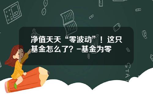 净值天天“零波动”！这只基金怎么了？-基金为零