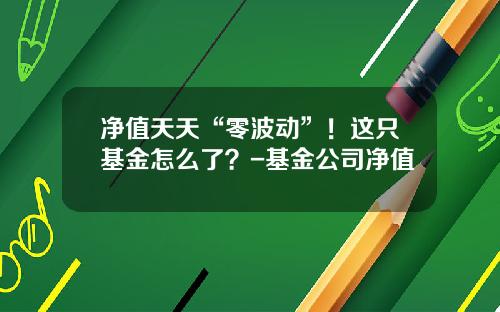 净值天天“零波动”！这只基金怎么了？-基金公司净值