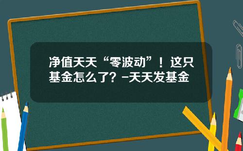 净值天天“零波动”！这只基金怎么了？-天天发基金