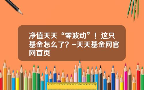 净值天天“零波动”！这只基金怎么了？-天天基金网官网首页