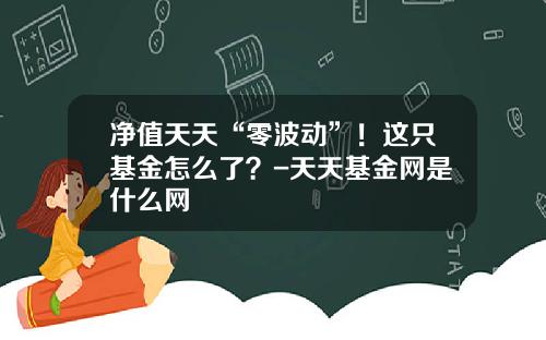 净值天天“零波动”！这只基金怎么了？-天天基金网是什么网