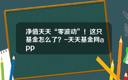 净值天天“零波动”！这只基金怎么了？-天天基金网app