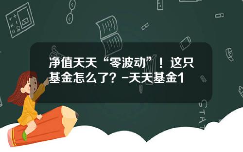 净值天天“零波动”！这只基金怎么了？-天天基金1