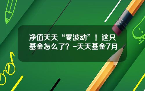 净值天天“零波动”！这只基金怎么了？-天天基金7月