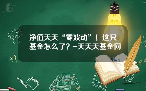 净值天天“零波动”！这只基金怎么了？-天天天基金网