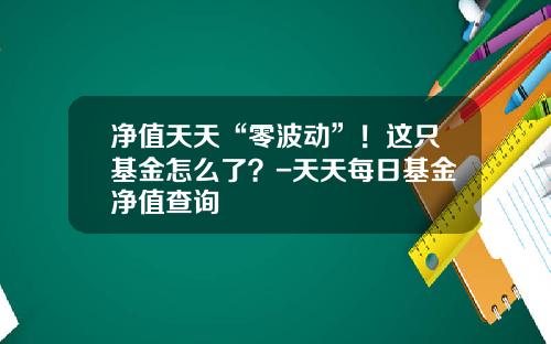 净值天天“零波动”！这只基金怎么了？-天天每日基金净值查询