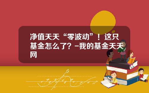 净值天天“零波动”！这只基金怎么了？-我的基金天天网