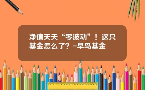 净值天天“零波动”！这只基金怎么了？-早鸟基金