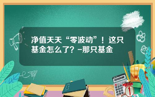 净值天天“零波动”！这只基金怎么了？-那只基金