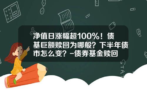 净值日涨幅超100%！债基巨额赎回为哪般？下半年债市怎么变？-债券基金赎回