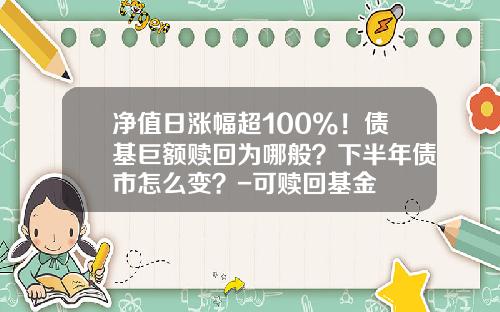 净值日涨幅超100%！债基巨额赎回为哪般？下半年债市怎么变？-可赎回基金