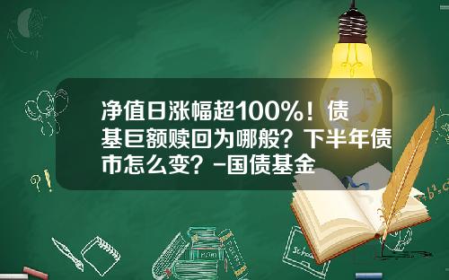 净值日涨幅超100%！债基巨额赎回为哪般？下半年债市怎么变？-国债基金