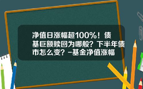 净值日涨幅超100%！债基巨额赎回为哪般？下半年债市怎么变？-基金净值涨幅