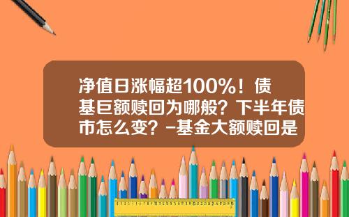 净值日涨幅超100%！债基巨额赎回为哪般？下半年债市怎么变？-基金大额赎回是多少