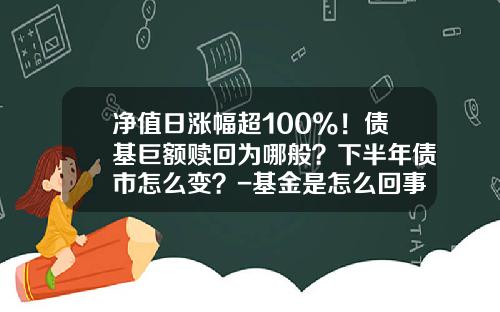 净值日涨幅超100%！债基巨额赎回为哪般？下半年债市怎么变？-基金是怎么回事