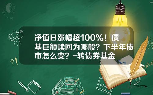 净值日涨幅超100%！债基巨额赎回为哪般？下半年债市怎么变？-转债券基金