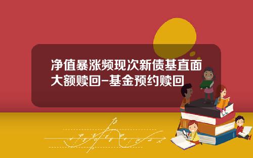净值暴涨频现次新债基直面大额赎回-基金预约赎回