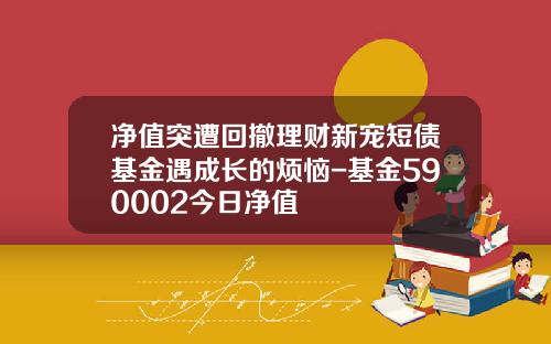 净值突遭回撤理财新宠短债基金遇成长的烦恼-基金590002今日净值