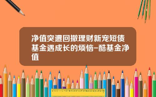 净值突遭回撤理财新宠短债基金遇成长的烦恼-酷基金净值