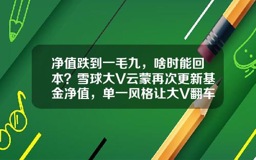 净值跌到一毛九，啥时能回本？雪球大V云蒙再次更新基金净值，单一风格让大V翻车常态化-人民币贬值买什么基金