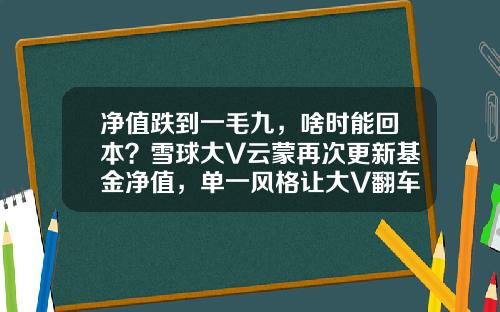 净值跌到一毛九，啥时能回本？雪球大V云蒙再次更新基金净值，单一风格让大V翻车常态化-基金基金净值