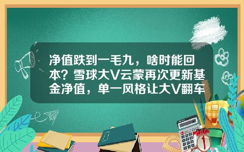 净值跌到一毛九，啥时能回本？雪球大V云蒙再次更新基金净值，单一风格让大V翻车常态化-盈透买基金