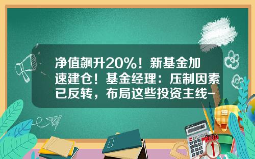 净值飙升20%！新基金加速建仓！基金经理：压制因素已反转，布局这些投资主线-基金净值增加