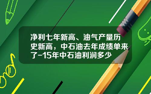 净利七年新高、油气产量历史新高，中石油去年成绩单来了-15年中石油利润多少