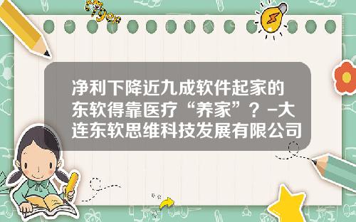 净利下降近九成软件起家的东软得靠医疗“养家”？-大连东软思维科技发展有限公司