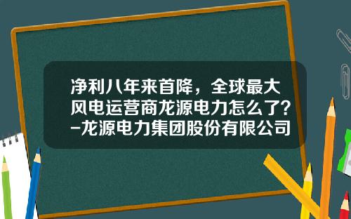净利八年来首降，全球最大风电运营商龙源电力怎么了？-龙源电力集团股份有限公司