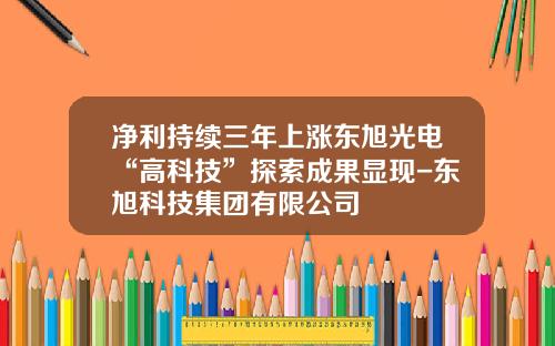 净利持续三年上涨东旭光电“高科技”探索成果显现-东旭科技集团有限公司