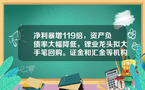 净利暴增119倍，资产负债率大幅降低，锂业龙头拟大手笔回购。证金和汇金等机构新进10股，增持这些绩优股（附名单）-中央汇金投资有限公司市值