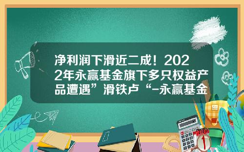净利润下滑近二成！2022年永赢基金旗下多只权益产品遭遇”滑铁卢“-永赢基金待遇