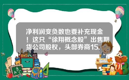 净利润变负数也要补充现金！这只“徐翔概念股”出售期货公司股权，头部券商15.9亿元接手-华泰长城期货有限公司