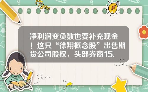净利润变负数也要补充现金！这只“徐翔概念股”出售期货公司股权，头部券商15.9亿元接手-宁波华泰投资有限公司股东
